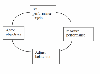 Figure 1 Simple performance measurement and management system
